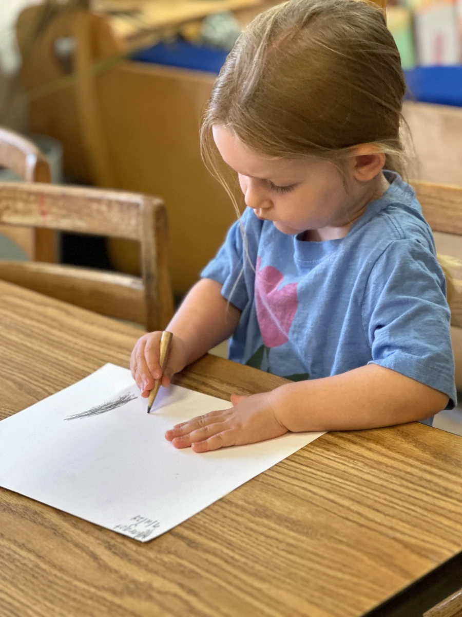 A child sitting at a table, carefully holding her pencil and focused on creating an observational drawing.