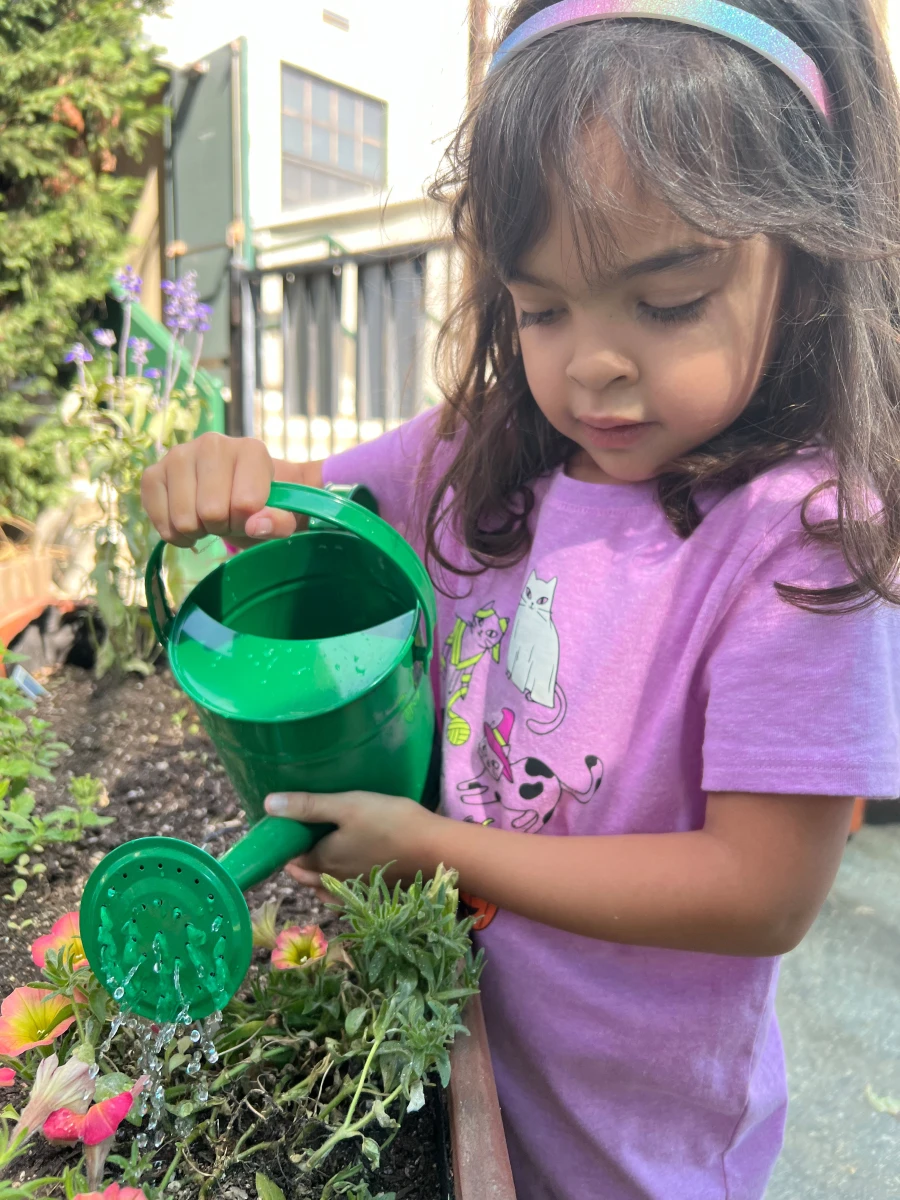 A child carefully watering plants in the school garden, nurturing growth and learning about nature.
