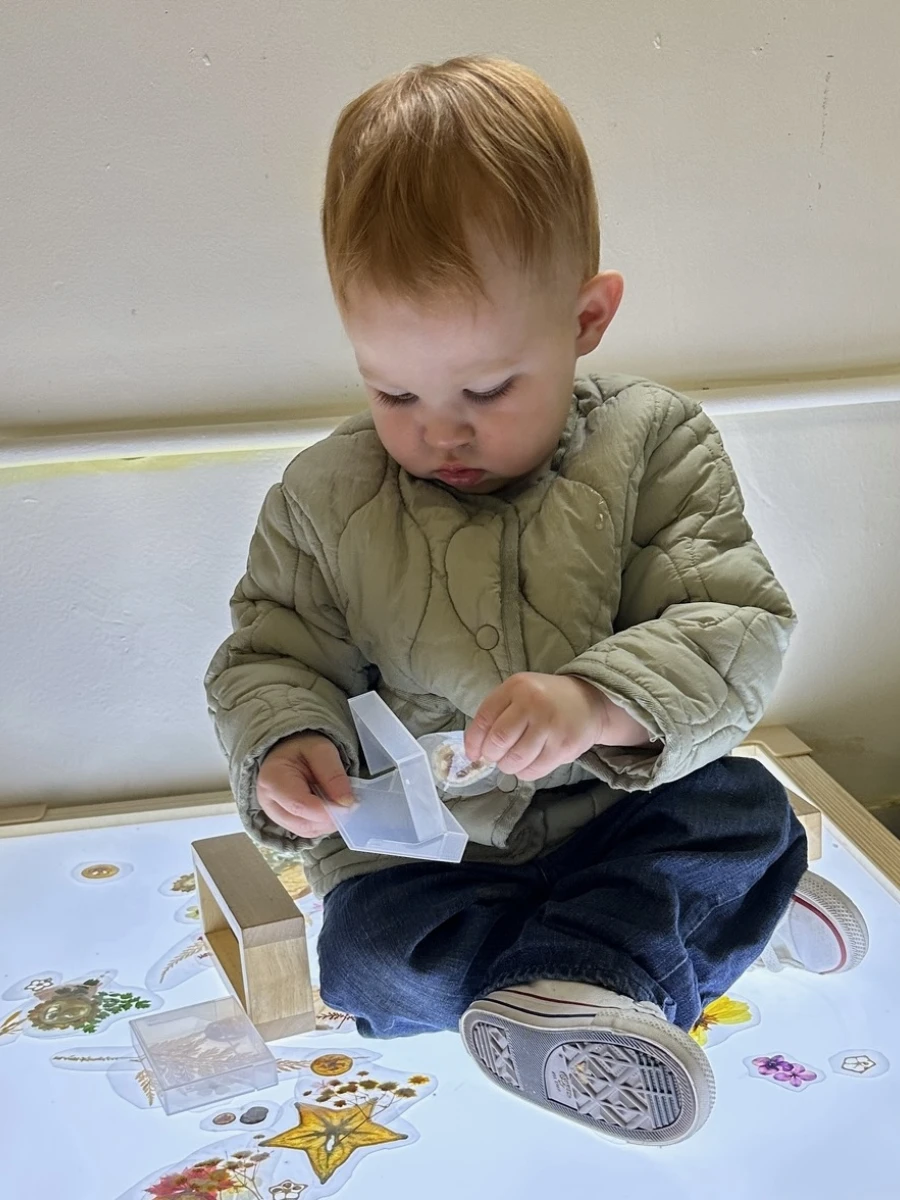 A young toddler sitting on a light table, exploring with transparent objects and containers. He carefully works to place a dried flower into a clear container, fully immersed in the activity.