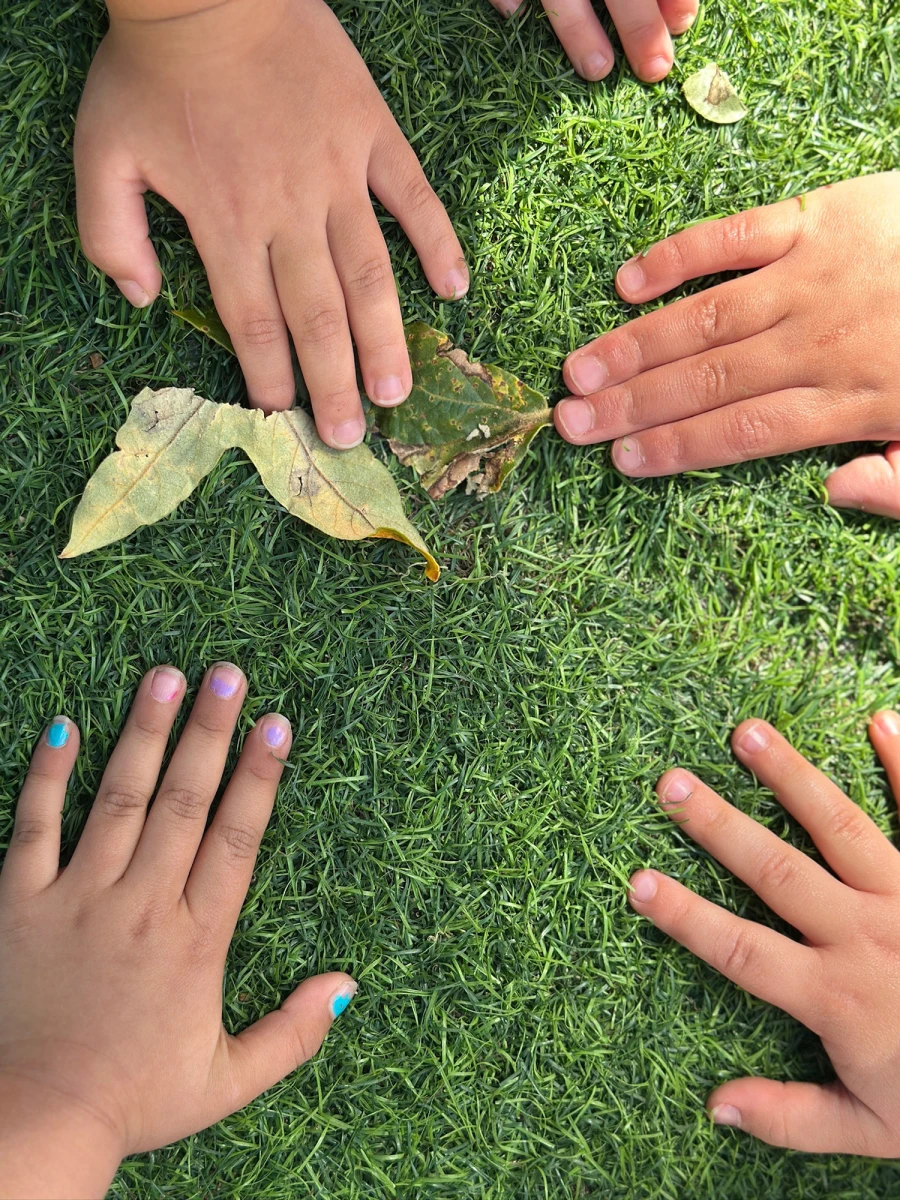 Hands of children with different skin tones, their fingers pointing toward a leaf they are exploring together on the grass.